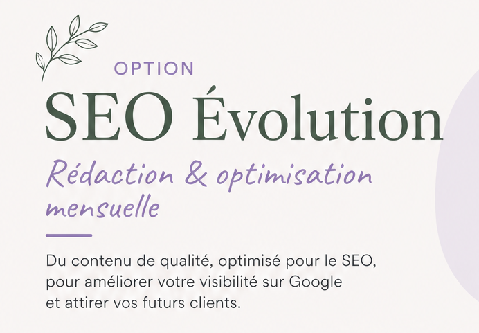 visuel SEO evolution